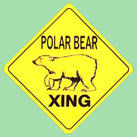 polar bear crossing