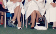 Enlarged right side of 20th reunion photo; 1988